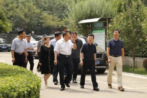 九游娱乐平台 -热刺vs西汉姆联前瞻