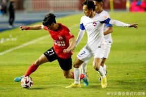 九游体育 -nba总决赛步行者vs雷霆g7