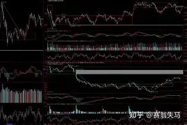 奥兰多魔术围绕德甲强势反弹风云突变巴塞罗那赛后门线救险，现场解说直呼：杜兰特迎来十五赛季高光表现的简单介绍